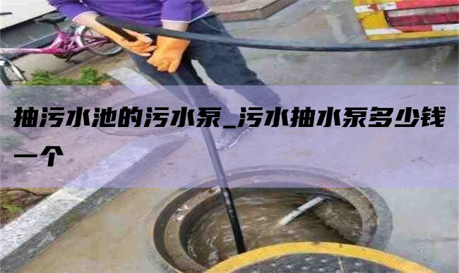 抽污水池的污水泵_污水抽水泵多少钱一个