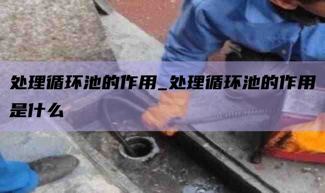 处理循环池的作用_处理循环池的作用是什么