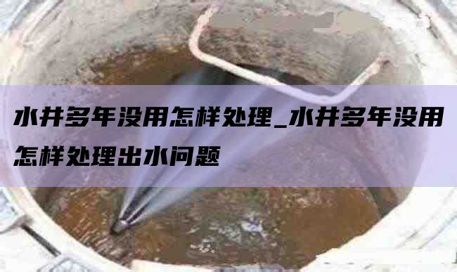 水井多年没用怎样处理_水井多年没用怎样处理出水问题